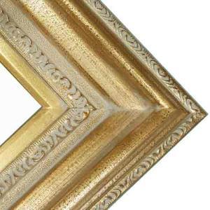 Series 446 Champagne Gold Gallery Deluxe Frame - 20" x 24"