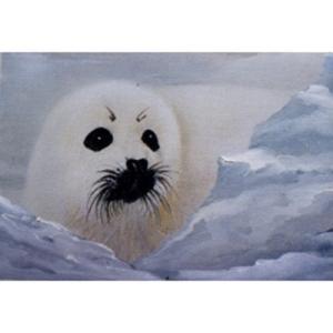 Bob Ross How-To Painting Packet Wildlife - Baby Seal