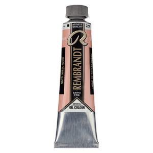 Royal Talens Rembrandt Oil Colour - (1.4oz/40ml) Naples Yellow Red