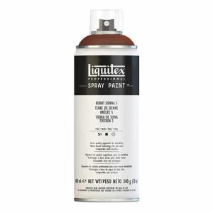 Liquitex Professional Spray Paint - (13.53oz/400ml) Burnt Sienna 5