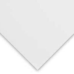 Canson C' A Grain 111lb/180g Drawing Paper Fine Texture 19.5"×25.5" - CN100511127