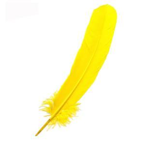 Large Craft Quill Feathers - (24 Pieces) Yellow