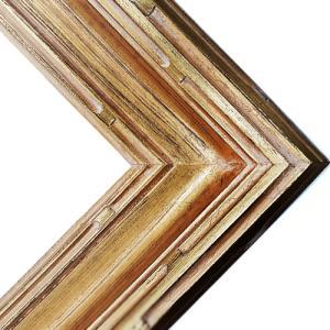 Series 530G Gold Frame - 9" x 12"