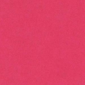 Canson Colorline Paper 19" x 25" - Fuchsia