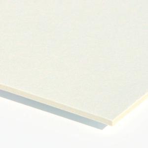 Crescent All-Purpose Illustration Board Cold Press 20" x 30" (Heavy Weight)