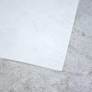 Bee 100% Cotton Watercolor Paper Pack 22x30  (5shts, 140lb) Cold Press Surface  BEE-1153P5-2230