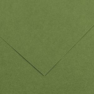 Canson Colorline Paper 19" x 25" - Khaki Green 89
