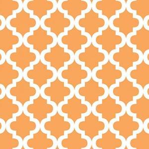 Pacon Ella Bella Photography Backdrop Paper Roll 48" x 12' - Mediterranean Peach