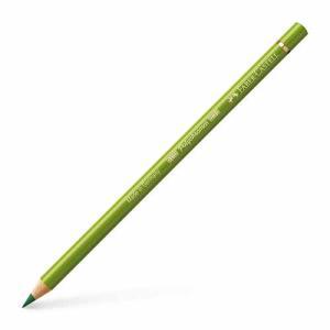 Polychromos Colored Pencil- Earth Green Yellowish (168)