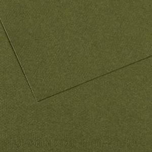 Canson Mi-Teintes Drawing Paper 19" x 25" - Ivy 448