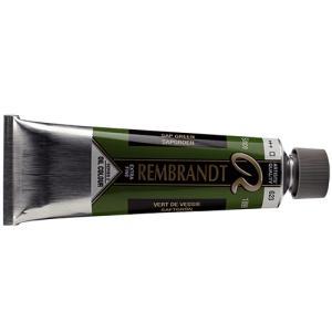 Royal Talens Rembrandt Oil Colour - (5oz/150ml) 623 Sap Green Series 2