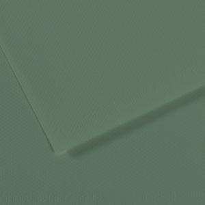 Canson Mi-Teintes Drawing Paper 19" x 25" - Sage Green 190