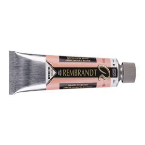 Royal Talens Rembrandt Oil Colour - (5oz/150ml) 224 Naples Yellow Red Series 2