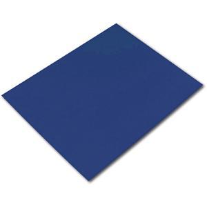Pacon Railroad Poster Board 22" x 28" - (100 Sheets) 4 Ply Dark Blue