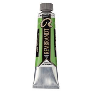 Royal Talens Rembrandt Oil Colour - (1.4oz/40ml) Permanent Green Medium