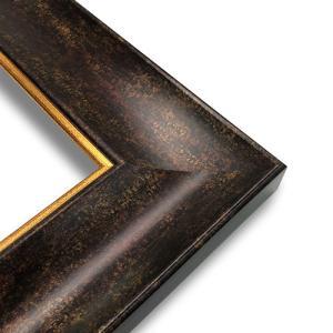 Series 144-77-Dark Bronze Frame with Gold Lip   8" x 10"