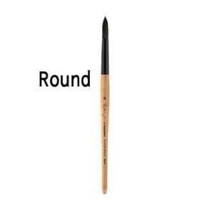 Princeton 6450 Series Catalyst Polytip Bristle Brush - Short Handle Round 2