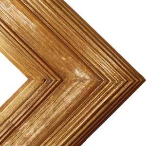 Series 505G Gold Frame - 12" x 16"