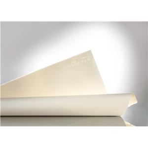 BFK Rives Printmaking Paper Cream 22" x 30" - (1 sheet, 280grms)