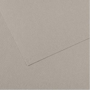 Canson Mi-Teintes Drawing Paper 19" x 25" - Flannel Gray 122