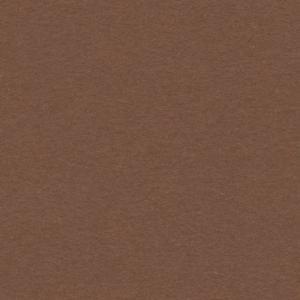 Canson Colorline Paper 19" x 25" - Nut