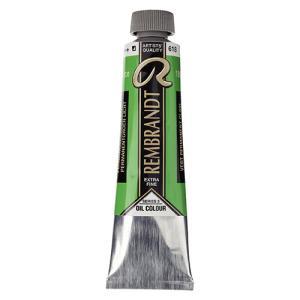 Royal Talens Rembrandt Oil Colour - (1.4oz/40ml) Permanent Green Light