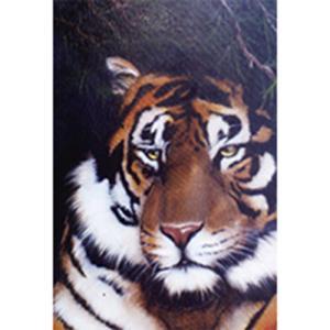 Bob Ross How-To Painting Packet Wildlife - Hideaway Tiger