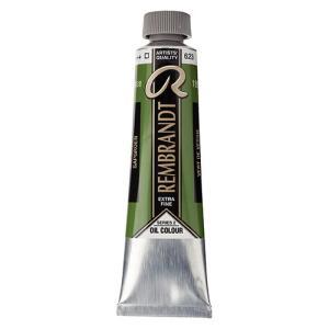 Royal Talens Rembrandt Oil Colour - (1.4oz/40ml) Sap Green