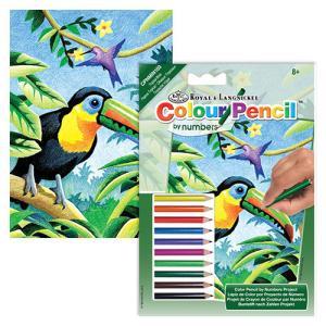 Colored Pencil By Number Mini Art Kit- Tropical Birds