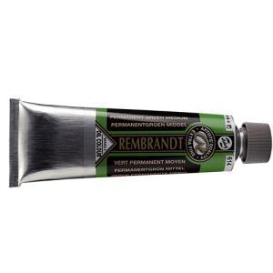 Royal Talens Rembrandt Oil Colour - (5oz/150ml) 614 Permanent Green Medium Series 3