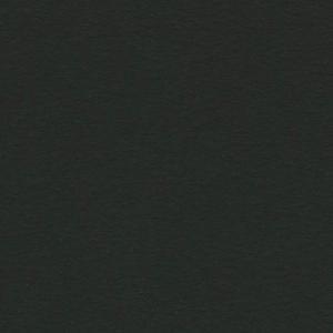 Canson Colorline Paper 19" x 25" - Black (Ebony)