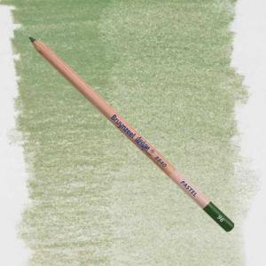 Bruynzeel Design Pastel Pencil - Sap Green