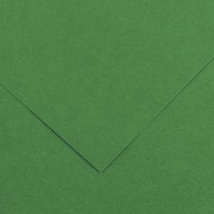 Canson Colorline Paper 19" x 25" - Moss Green 30