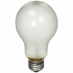Speedball Photo Flood Bulb (250 Watt)