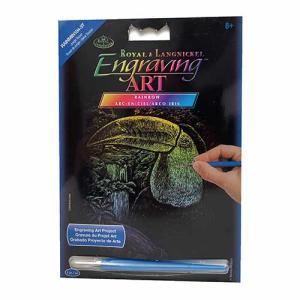 Rainbow Mini Engraving Art Kit- Jungle Toucan