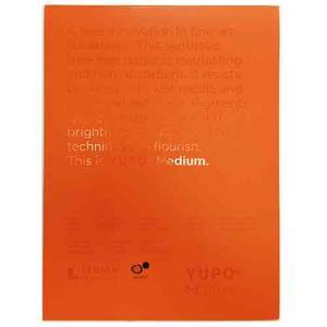 Legion Yupo Watercolor Pad 9" x 12" - (10 Sheets, 74lb) White