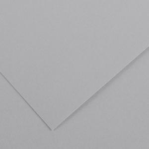Canson Colorline Paper 19" x 25" - Heavyweight Light Gray 300g