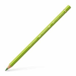 Polychromos Colored Pencil- May Green (170)