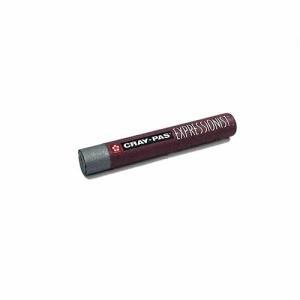 Cray-Pas Expressionist Oil Pastels- Silver