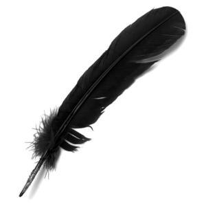 Large Craft Quill Feathers - (24 Pieces) Black