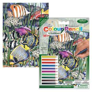 Colored Pencil By Number Mini Art Kit- Tropical Sea Life